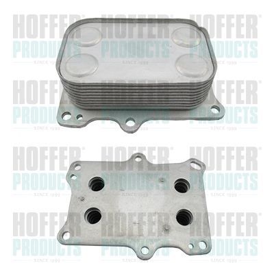 Alyvos aušintuvas, variklio alyva HOFFER 8095227