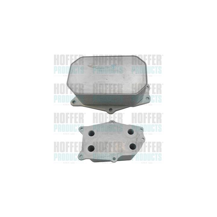 Alyvos aušintuvas, variklio alyva HOFFER 8095229