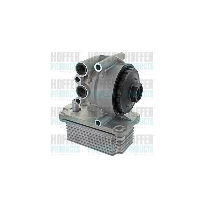 Alyvos aušintuvas, variklio alyva HOFFER 8095233