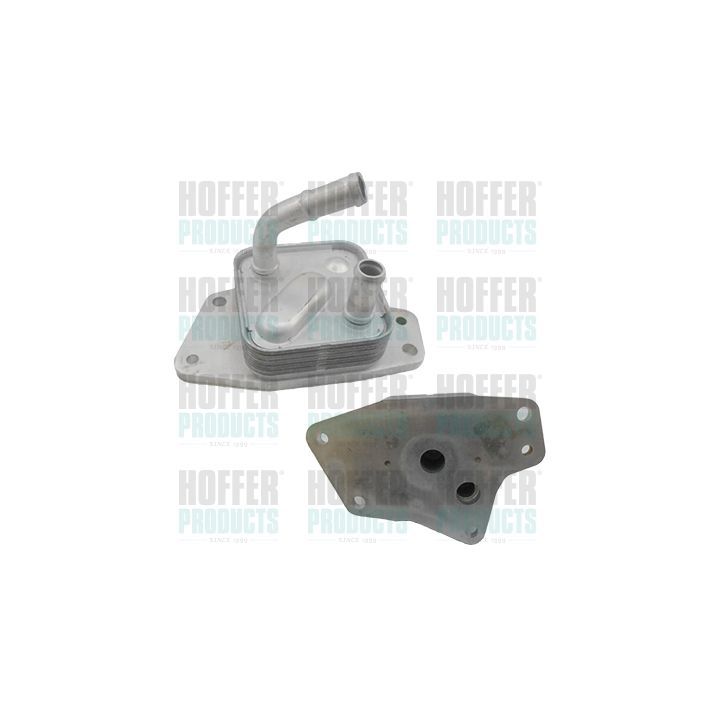 Alyvos aušintuvas, variklio alyva HOFFER 8095238