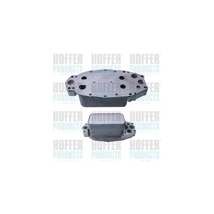 Alyvos aušintuvas, variklio alyva HOFFER 8095247