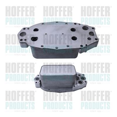 Alyvos aušintuvas, variklio alyva HOFFER 8095247