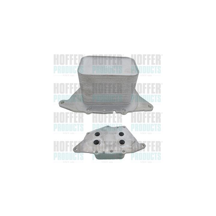 Alyvos aušintuvas, variklio alyva HOFFER 8095250