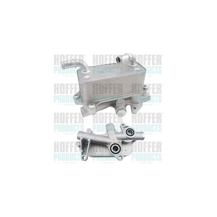 Alyvos aušintuvas, variklio alyva HOFFER 8095258