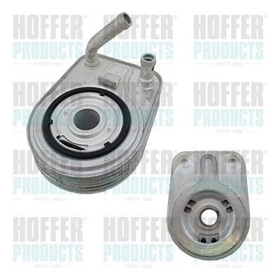 Alyvos aušintuvas, variklio alyva HOFFER 8095274