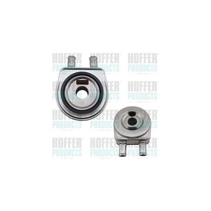 Alyvos aušintuvas, variklio alyva HOFFER 8095292
