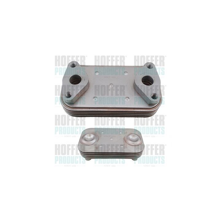 Alyvos aušintuvas, variklio alyva HOFFER 8095294