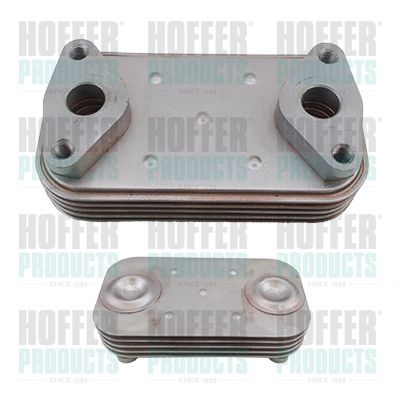Alyvos aušintuvas, variklio alyva HOFFER 8095294