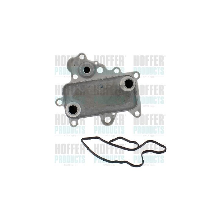 Alyvos aušintuvas, variklio alyva HOFFER 8095321