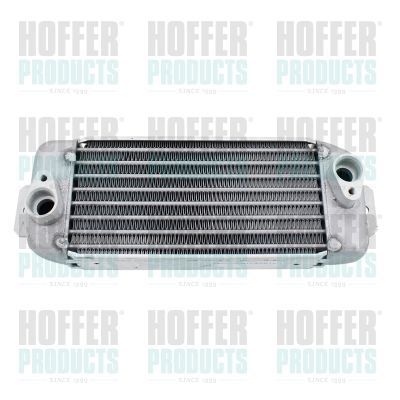 Alyvos aušintuvas, variklio alyva HOFFER 8095331