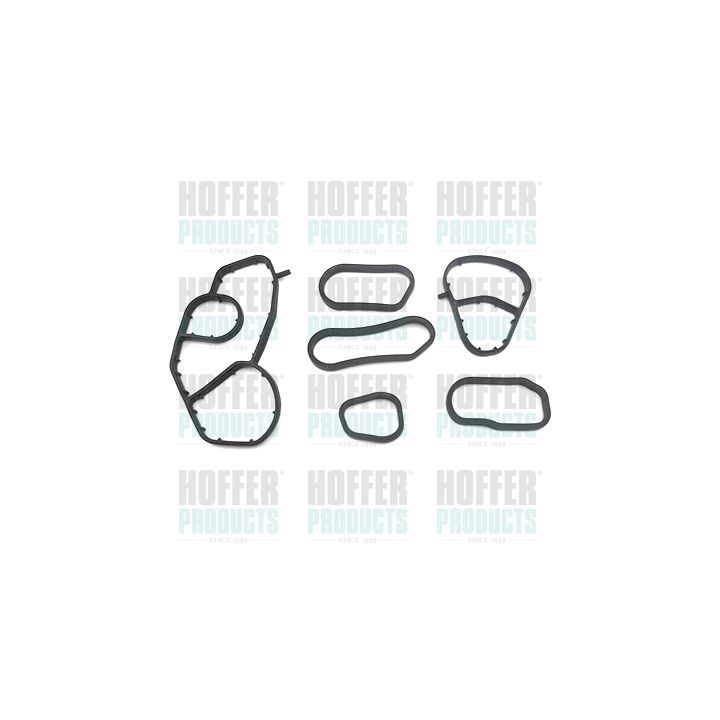 Tarpiklių rinkinys, alyvos aušintuvas HOFFER 01621