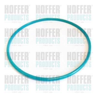 Tarpiklis, degalų bako udarymo dangtelis HOFFER GSK01