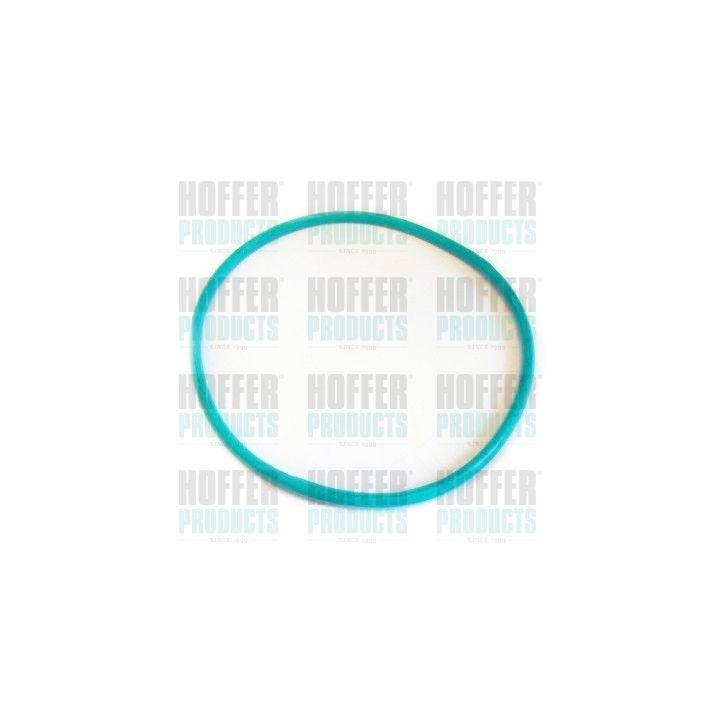 Tarpiklis, degalų bako udarymo dangtelis HOFFER GSK02