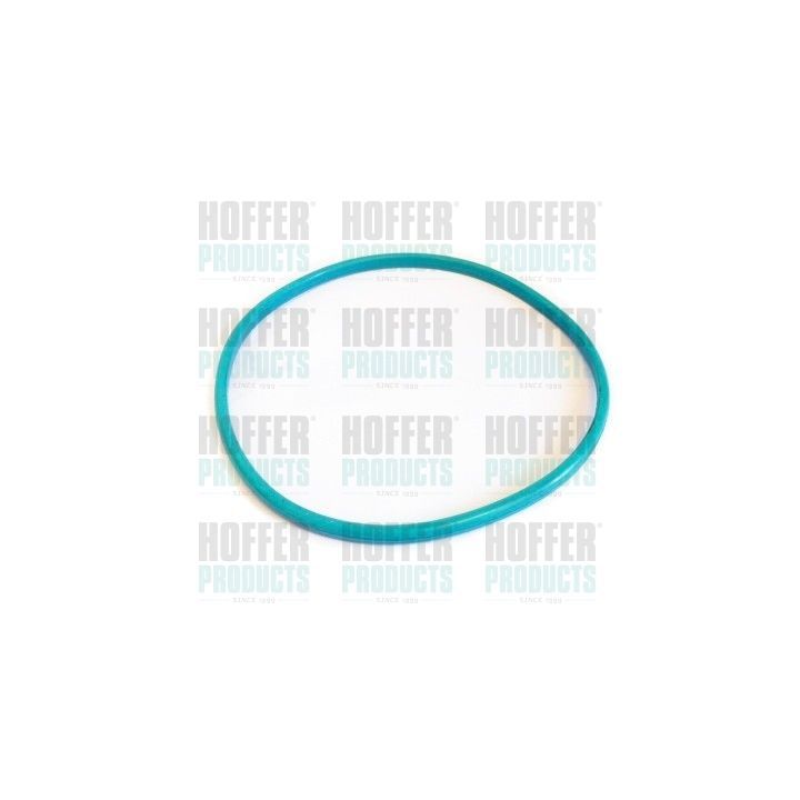 Tarpiklis, degalų bako udarymo dangtelis HOFFER GSK03