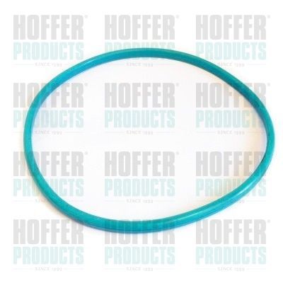 Tarpiklis, degalų bako udarymo dangtelis HOFFER GSK03