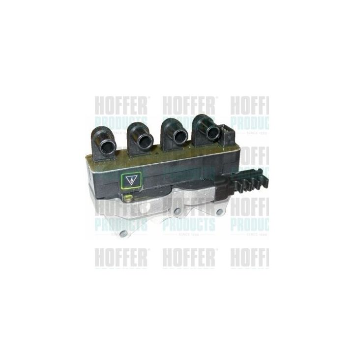 Ritė, uždegimas HOFFER 8010303