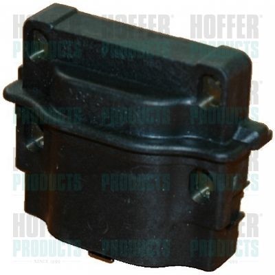 Ritė, uždegimas HOFFER 8010387