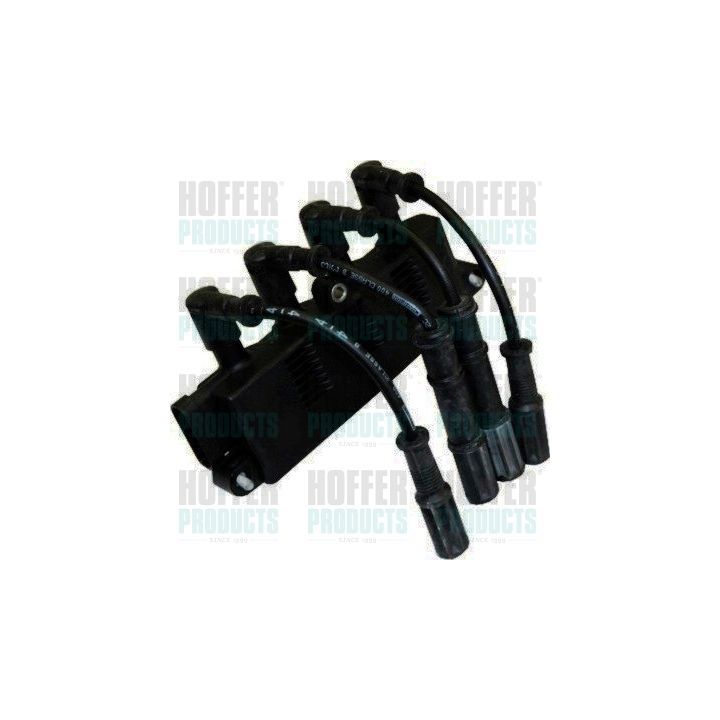 Ritė, uždegimas HOFFER 8010395