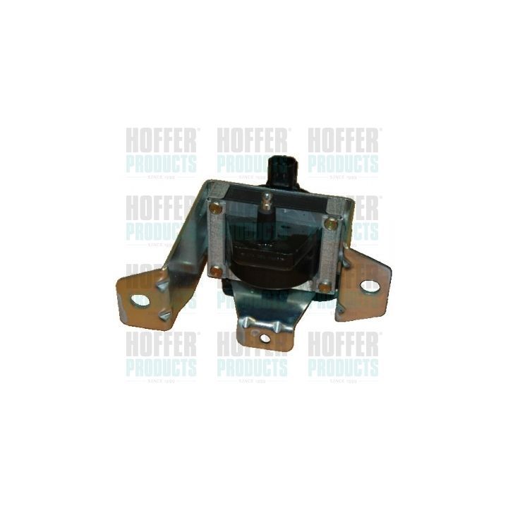 Ritė, uždegimas HOFFER 8010396