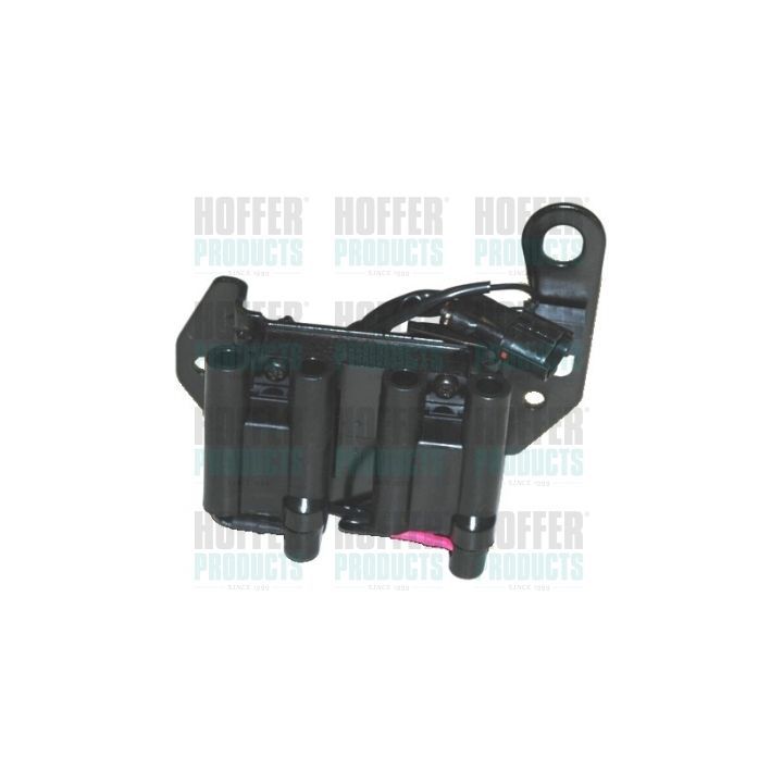 Ritė, uždegimas HOFFER 8010441