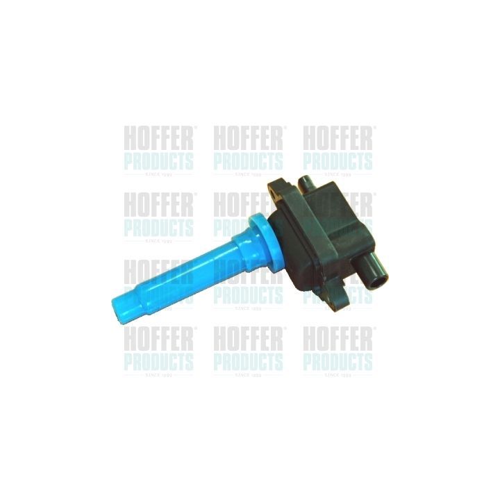 Ritė, uždegimas HOFFER 8010446