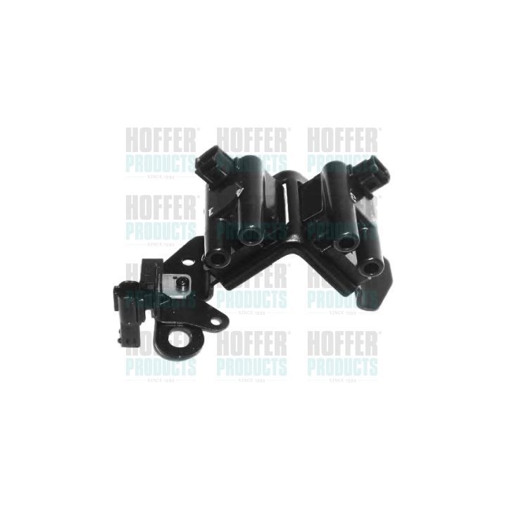 Ritė, uždegimas HOFFER 8010453