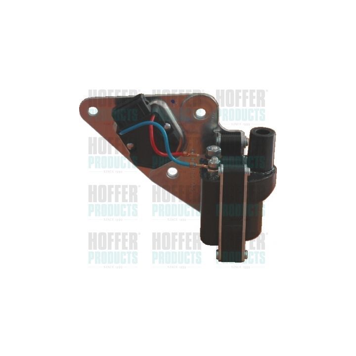 Ritė, uždegimas HOFFER 8010466