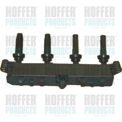Ritė, uždegimas HOFFER 8010471