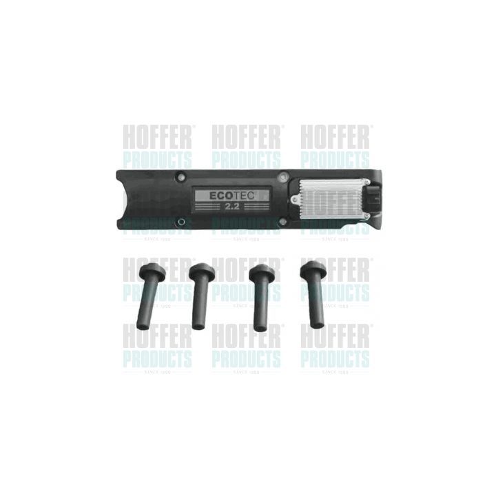 Ritė, uždegimas HOFFER 8010481