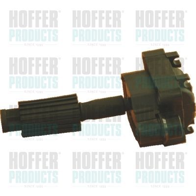 Ritė, uždegimas HOFFER 8010486