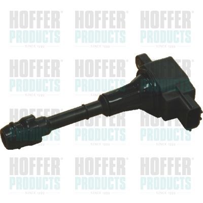 Ritė, uždegimas HOFFER 8010487