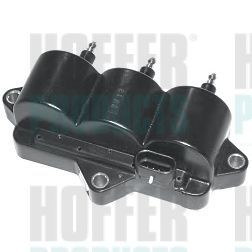 Ritė, uždegimas HOFFER 8010494