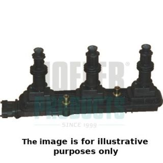 Ritė, uždegimas HOFFER 8010508E