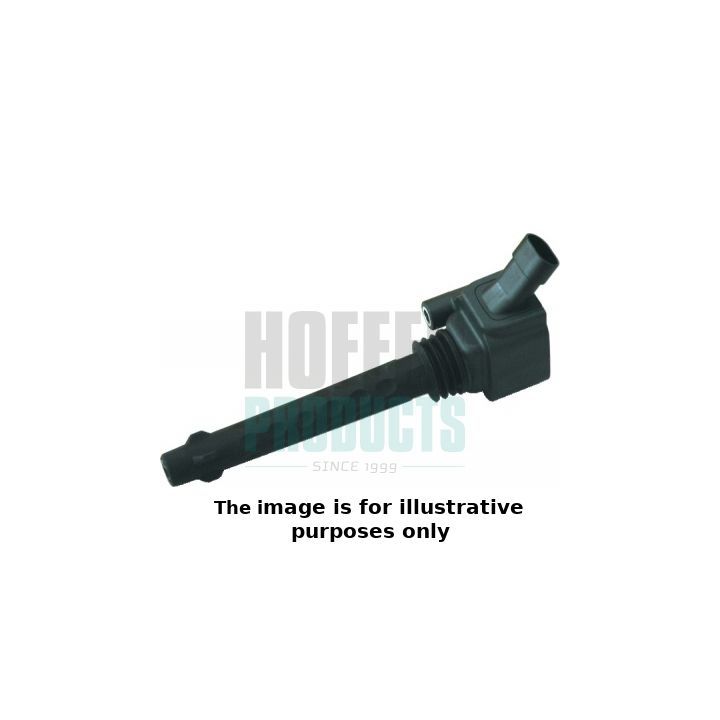 Ritė, uždegimas HOFFER 8010541E