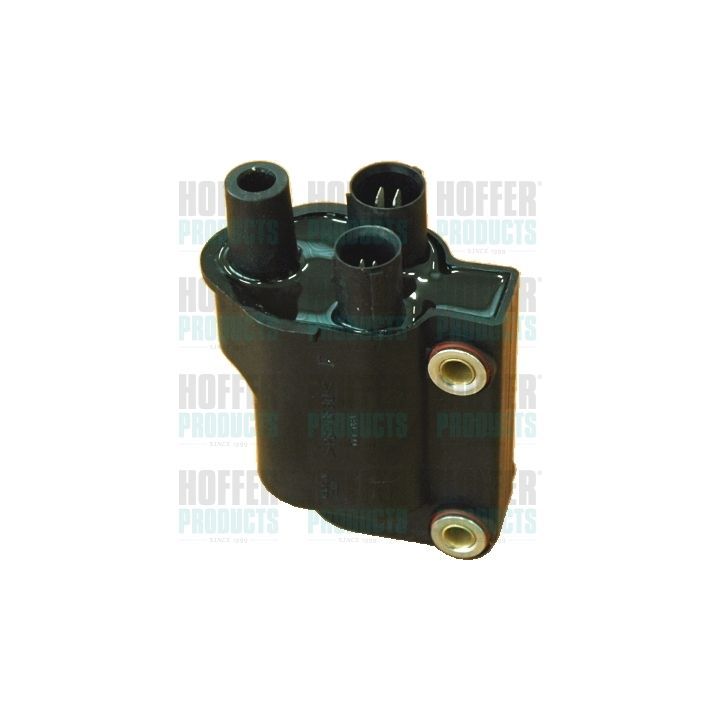 Ritė, uždegimas HOFFER 8010542