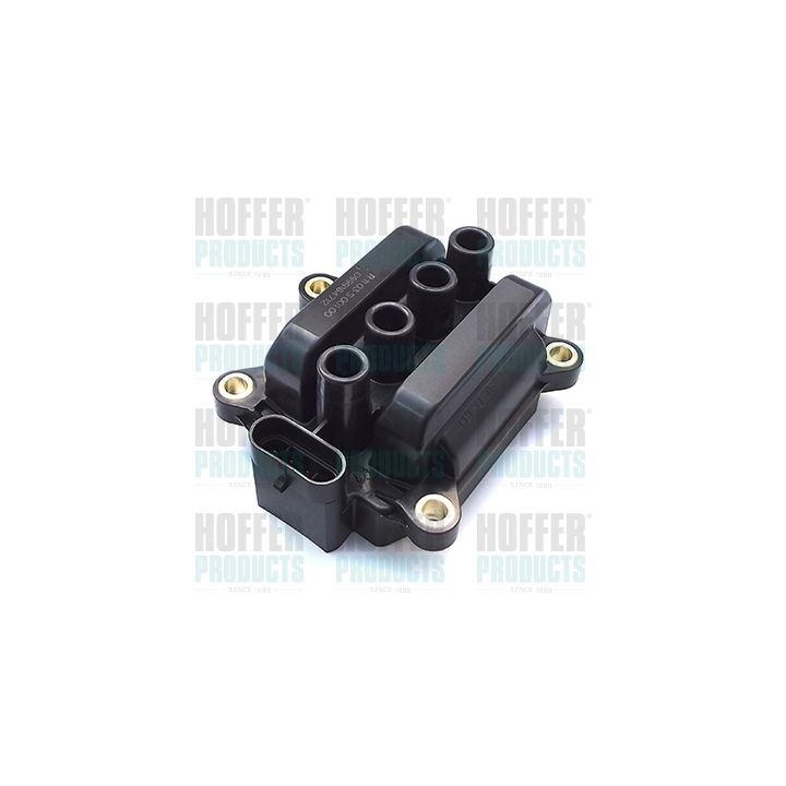 Ritė, uždegimas HOFFER 8010610