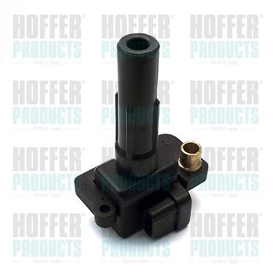 Ritė, uždegimas HOFFER 8010643