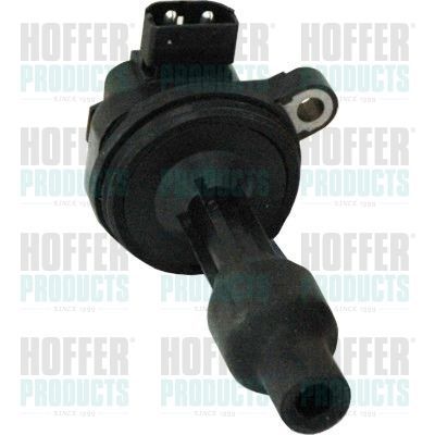Ritė, uždegimas HOFFER 8010679