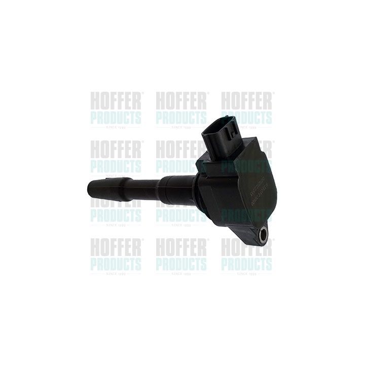 Ritė, uždegimas HOFFER 8010713