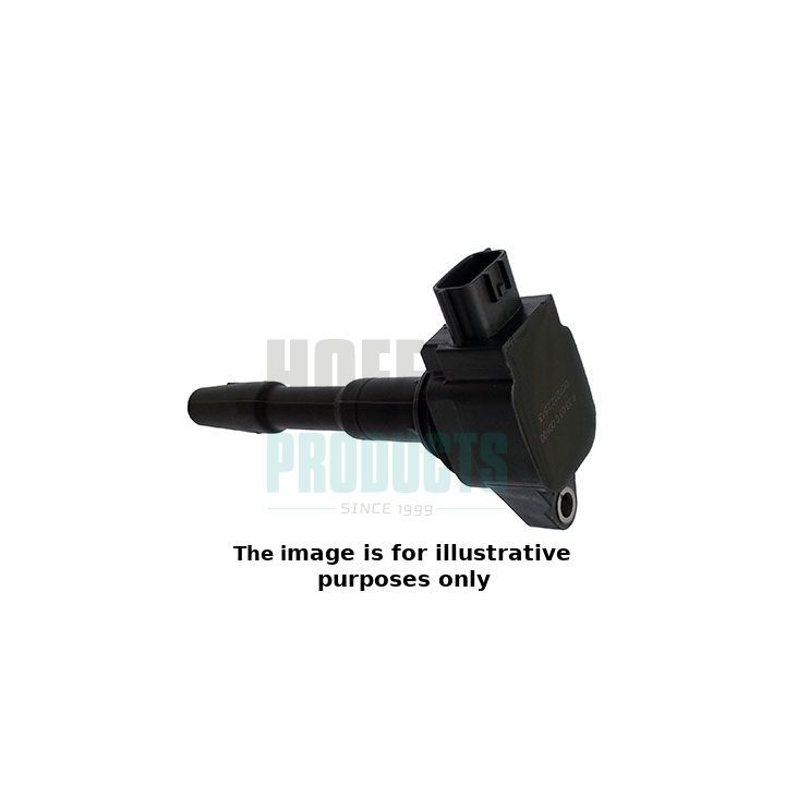 Ritė, uždegimas HOFFER 8010713E