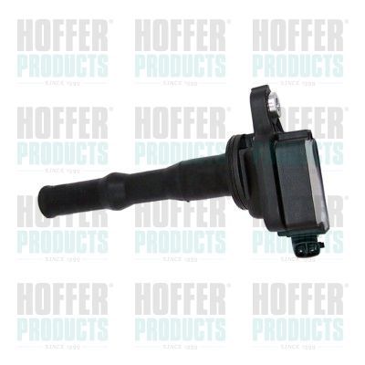 Ritė, uždegimas HOFFER 8010746