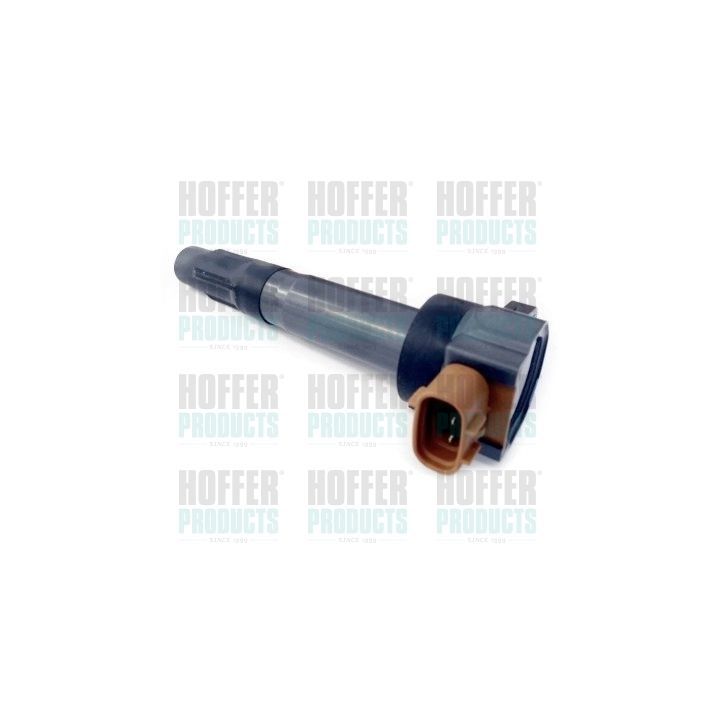 Ritė, uždegimas HOFFER 8010760