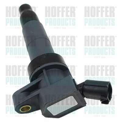 Ritė, uždegimas HOFFER 8010829