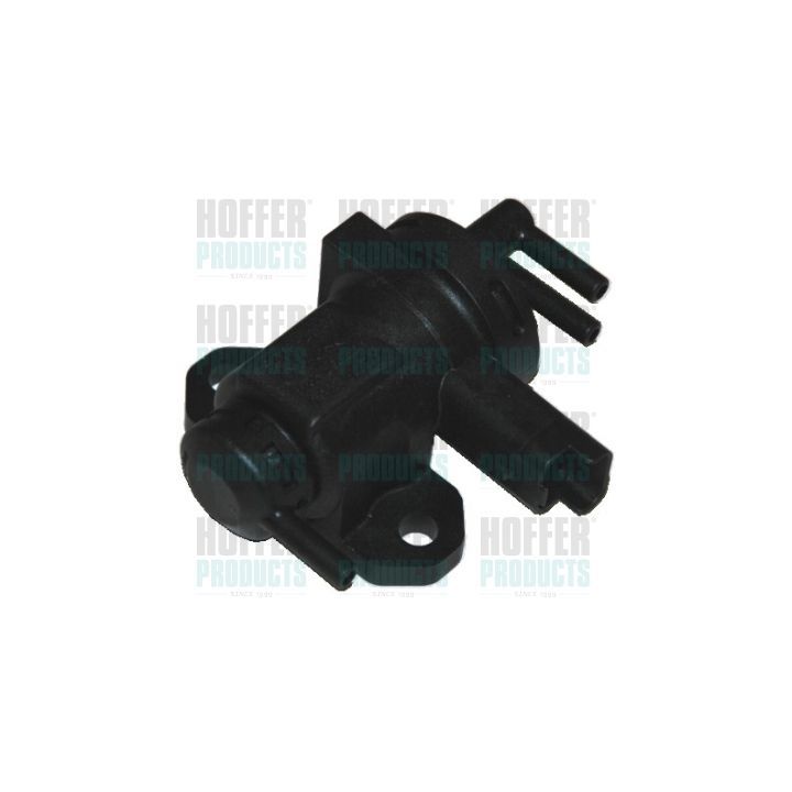 Slegio keitiklis, išmetimo valdymas HOFFER 8029100