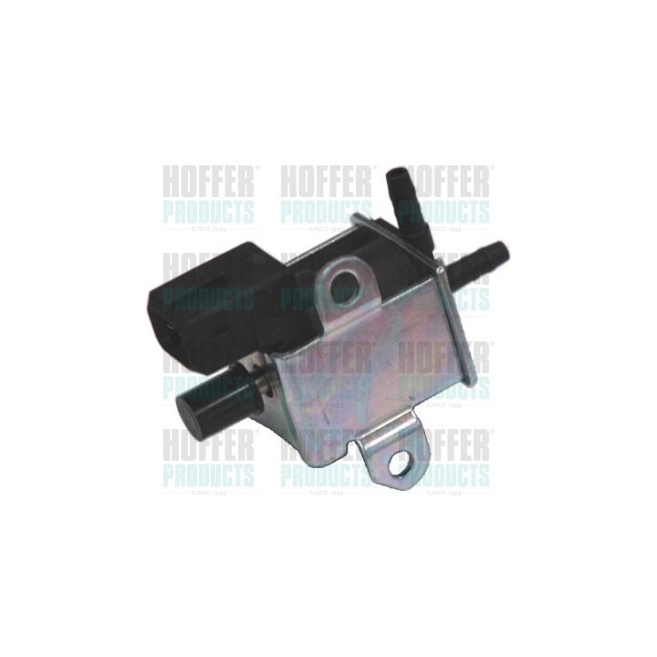 Slegio keitiklis, išmetimo valdymas HOFFER 8029154