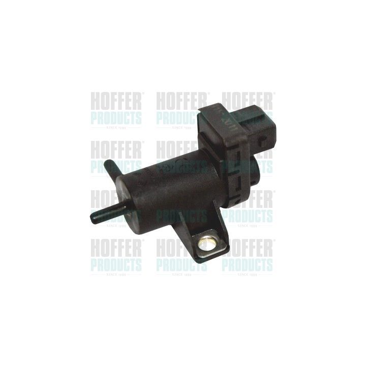 Slegio keitiklis, išmetimo valdymas HOFFER 8029249