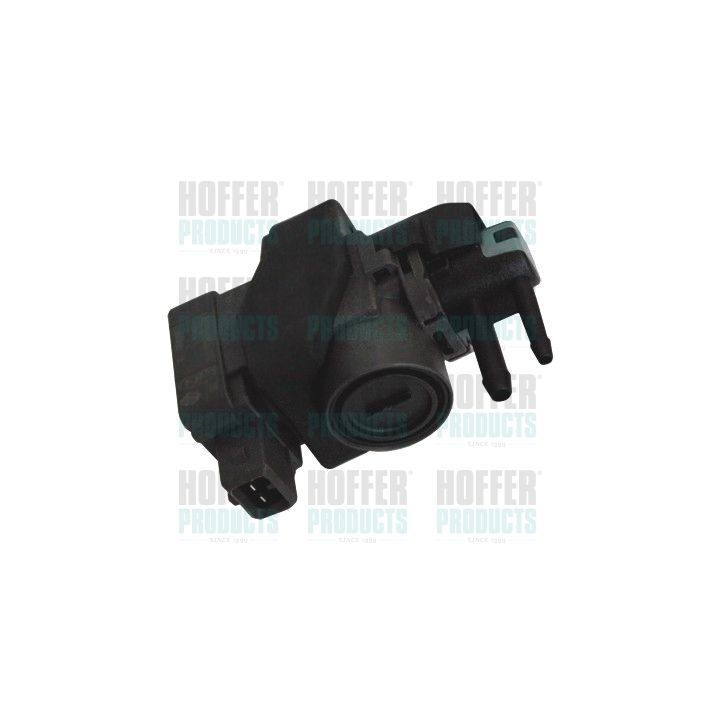 Slegio keitiklis, išmetimo valdymas HOFFER 8029259