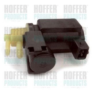 Slegio keitiklis, išmetimo valdymas HOFFER 8029280