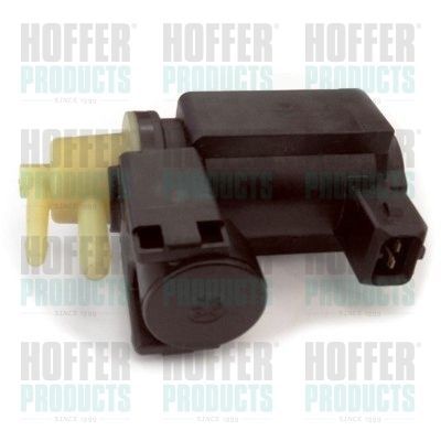 Slegio keitiklis, išmetimo valdymas HOFFER 8029280