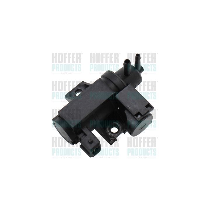 EGR vožtuvas, išmetamųjų dujų valdymas HOFFER 80299004